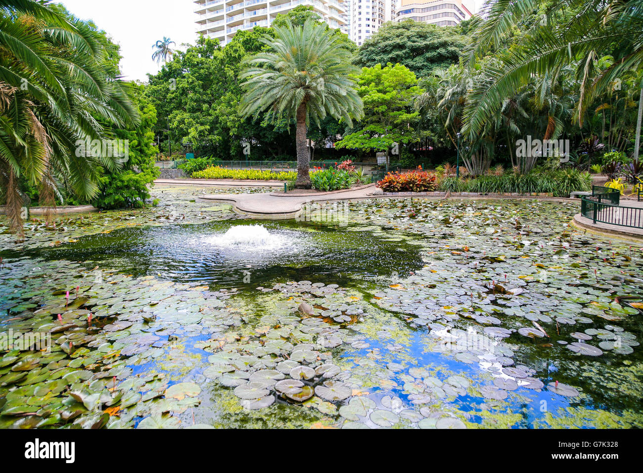 Jardins botaniques de la ville proche de centre-ville de Brisbane, Australie Banque D'Images