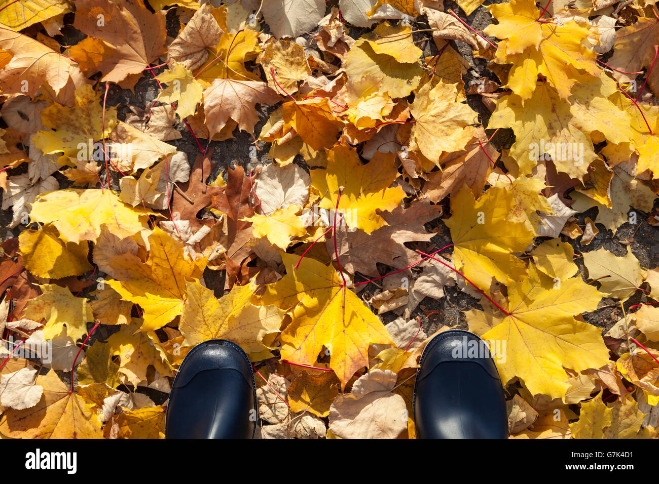 Bottes sombres sur un trottoir en automne Banque D'Images