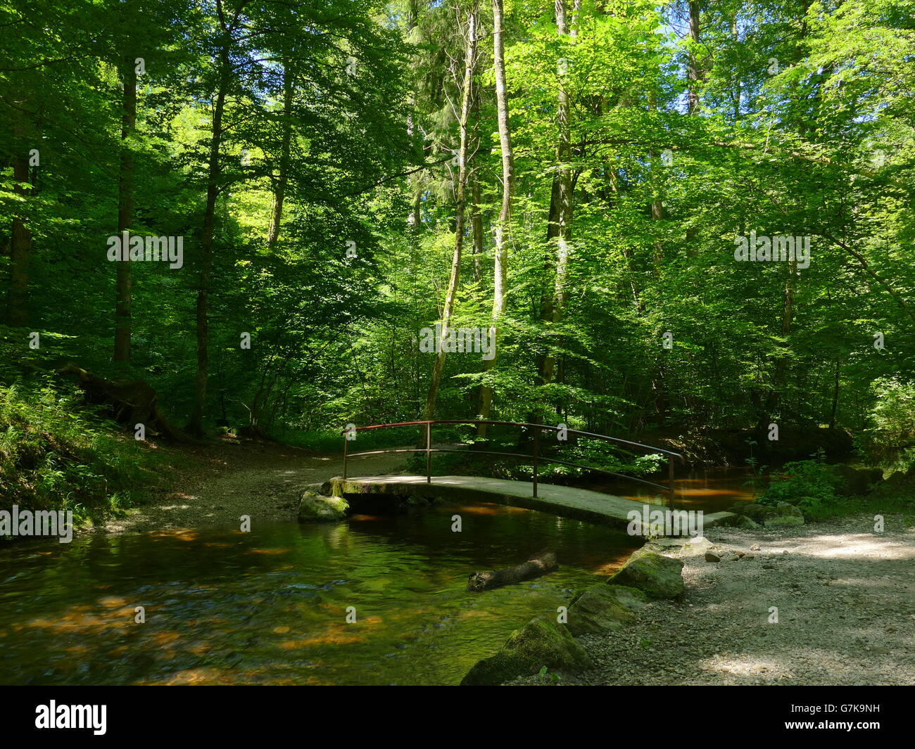 Europe Allemagne Starnberg Maising route de trekking vallée de la Schlucht Banque D'Images
