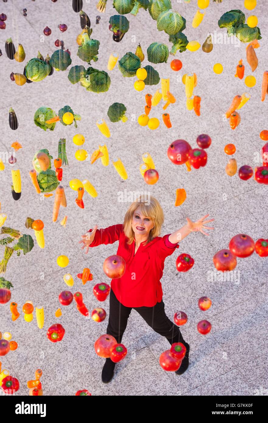 L'actrice Joanna Lumley pose avec une exposition en forme d'arc-en-ciel de 1,000 fruits et légumes réels, dans le centre commercial Westfield de Londres, dans le cadre de la campagne M&S Eat the Rainbow, pour encourager les acheteurs à manger une plus grande variété de fruits et légumes. Banque D'Images