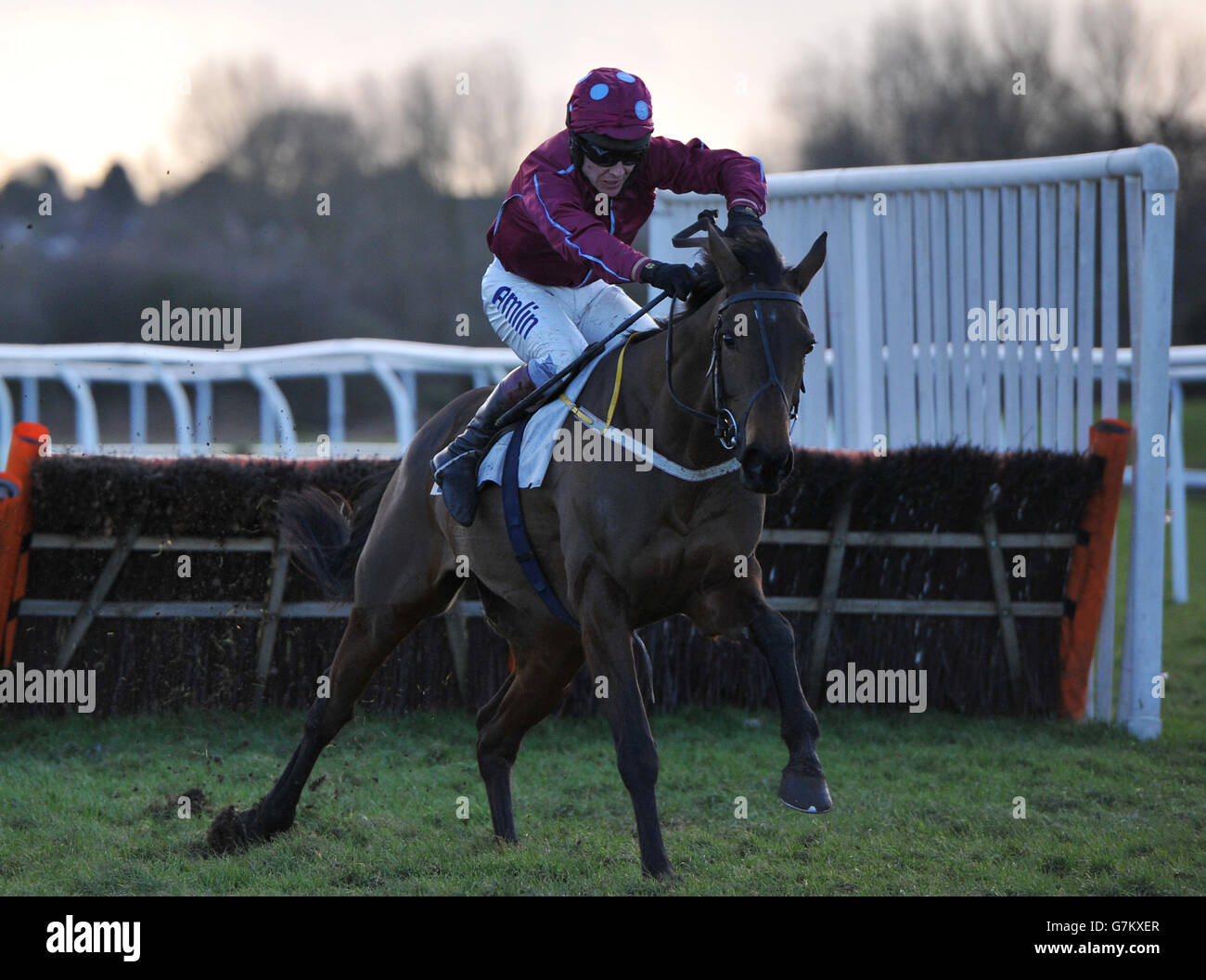 Les courses de chevaux - Hippodrome de Leicester Banque D'Images