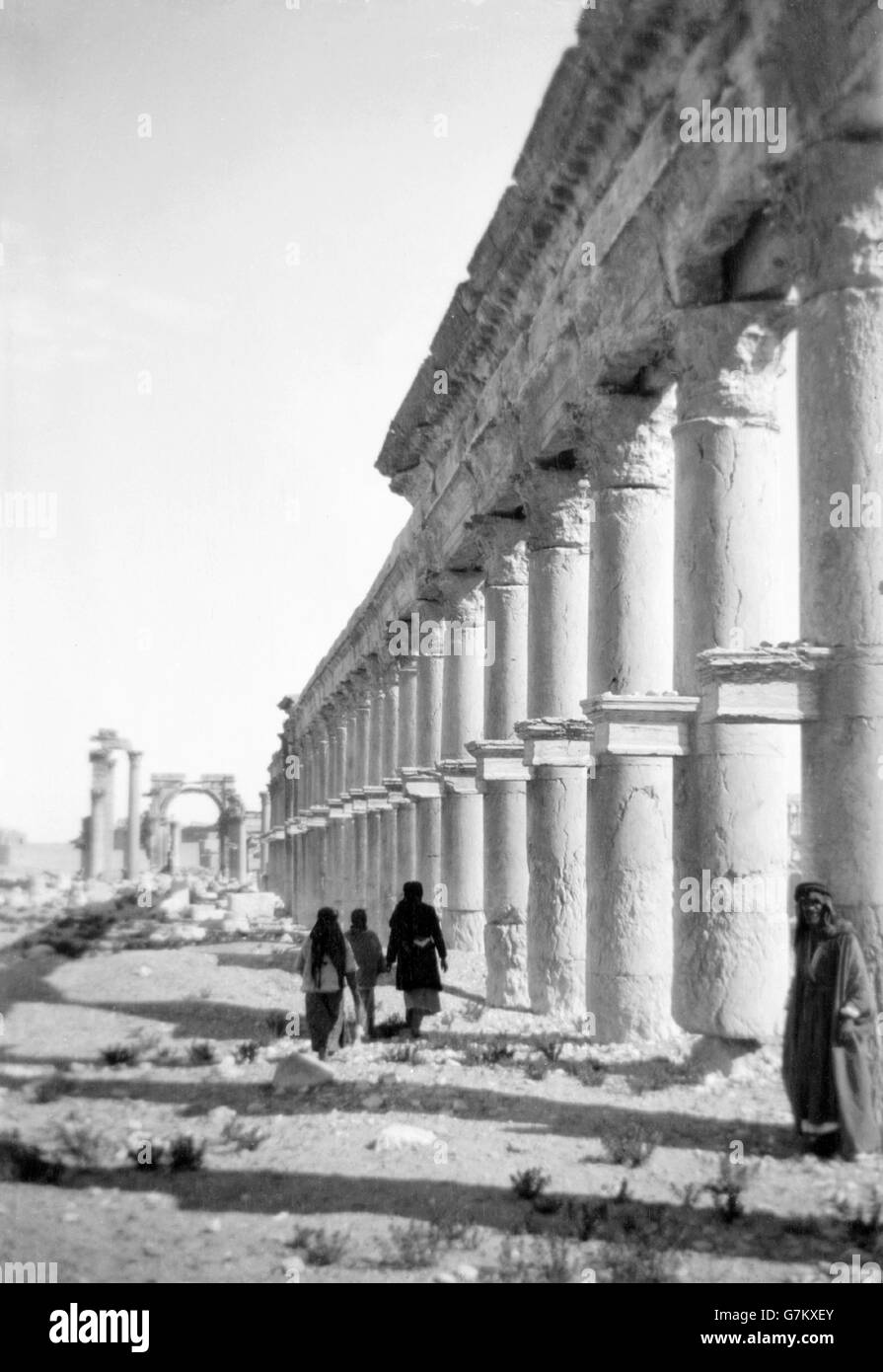Palmyra, Syrie. La Grande Colonnade c.1900-1920. Banque D'Images