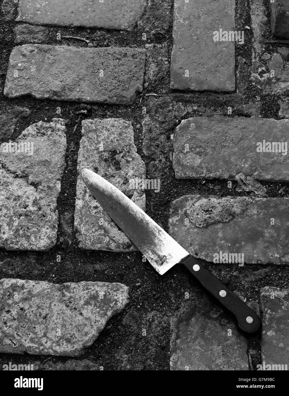 Pose de pavage en brique sur des couteaux Banque D'Images