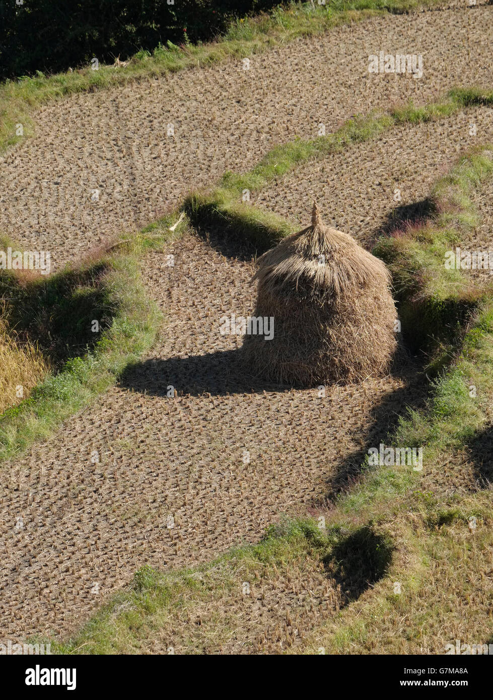 Une botte de Bhoutanais dans la forme d'un stupa. Punakha, Bhoutan. Banque D'Images