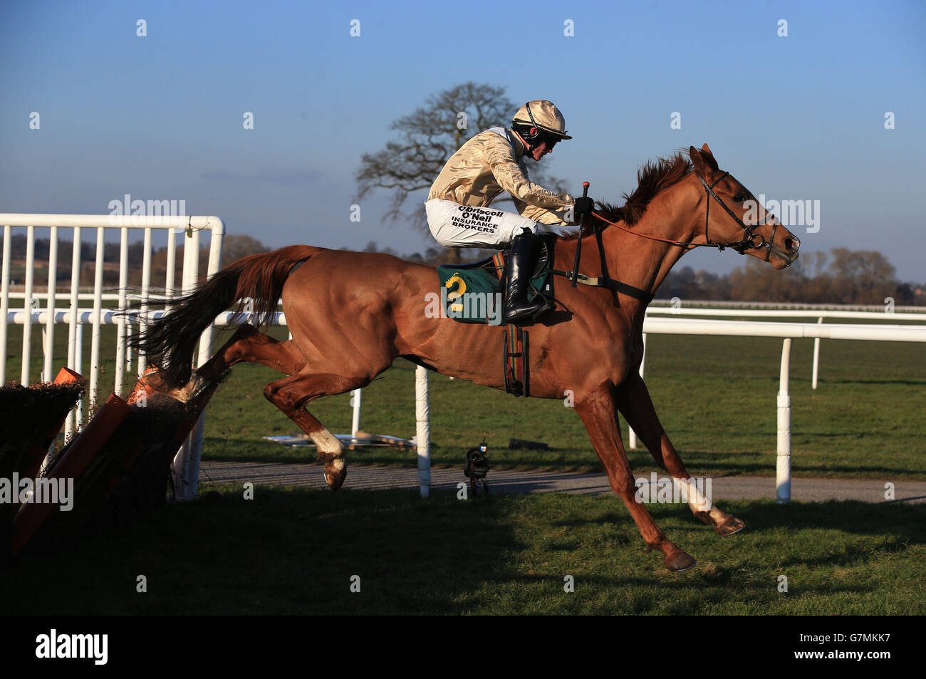 Beast of Burden criblé par le jockey Paul Townsend sort le dernier à gagner l'Excel signe novices Hurdle Race à Bangor-on-Dee Racecourse, Wrexham. Banque D'Images