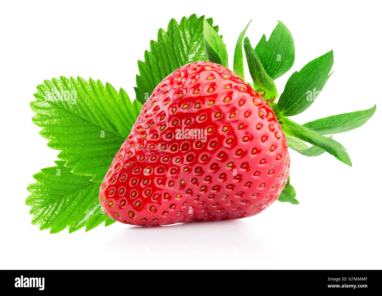 Strawberry isolé sur le fond blanc. Banque D'Images