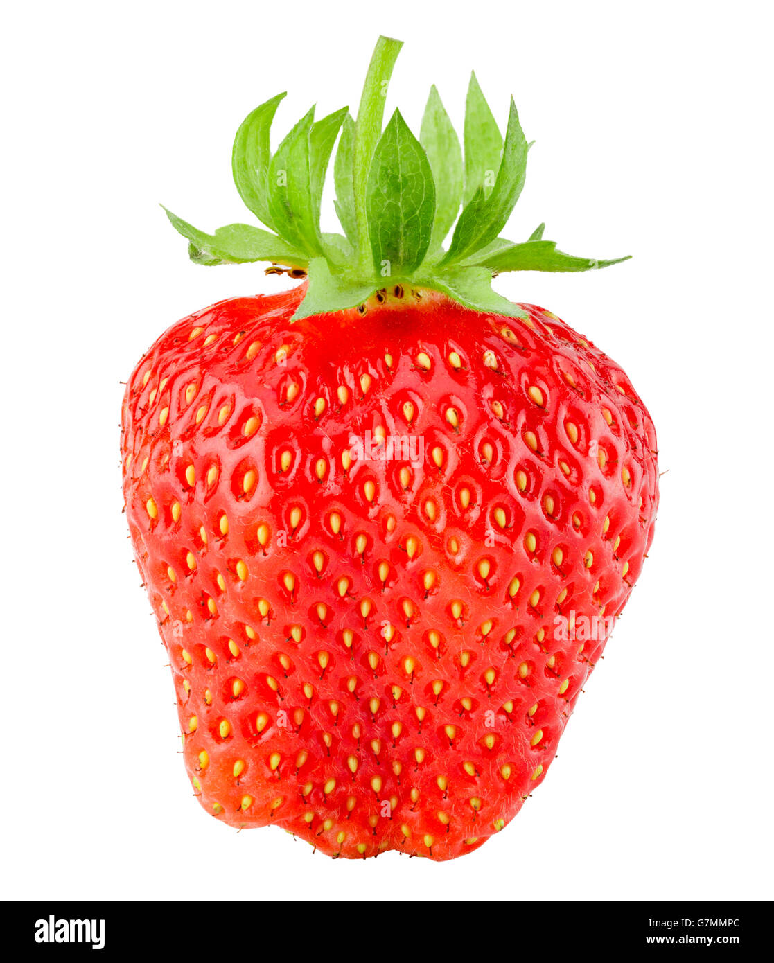 Strawberry isolé sur le fond blanc. Banque D'Images