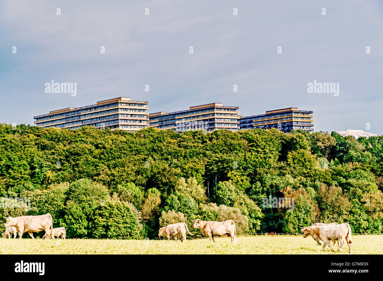 Voir à l'Université de la Ruhr à Bochum, Allemagne ;, Blick auf die Ruhr Universität Bochum, vom Süden sa Banque D'Images