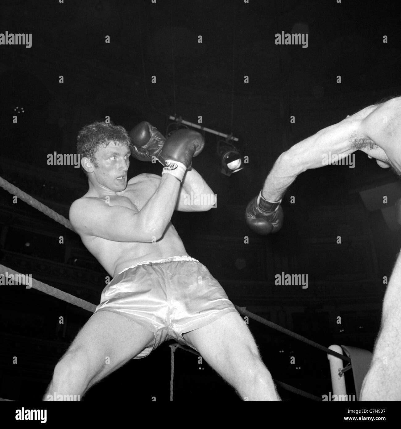 Joe Bugner, de St Ives, Huntingdonshire, âgé de 19 ans, le poids lourd britannique « Hope », qui a son prochain combat contre l'américain Tony Ventura au Royal Albert Hall, Londres, le mardi 20 mai 1969. Banque D'Images