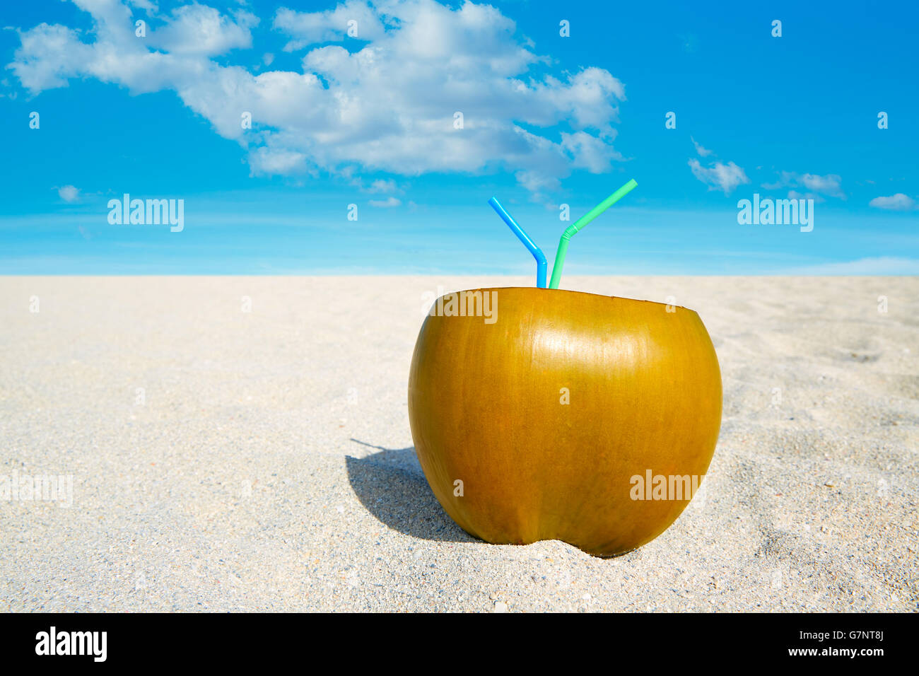 Miami South Beach coconut drink avec 2 pailles en Floride Banque D'Images Miami South Beach coconut drink avec 2 pailles en Floride Banque D'Images