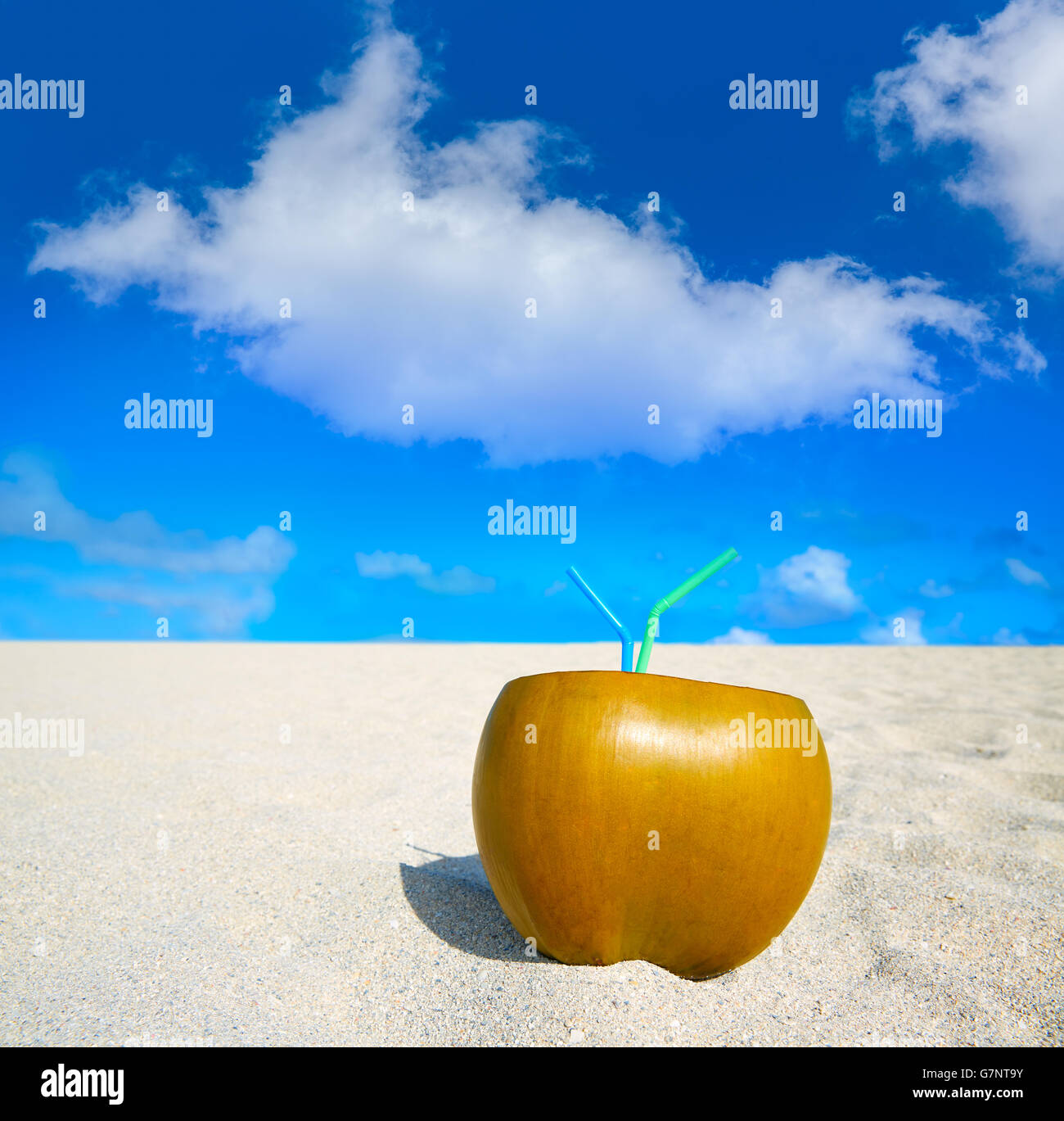 Miami South Beach coconut drink avec 2 pailles en Floride Banque D'Images Miami South Beach coconut drink avec 2 pailles en Floride Banque D'Images