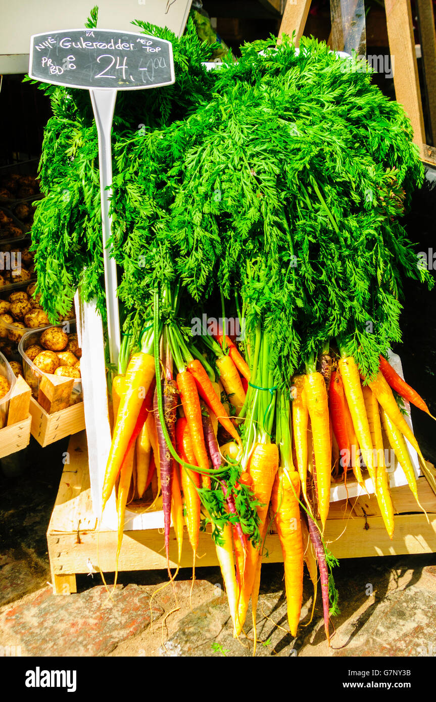 Les carottes (gulerodder danois) à la vente à un décrochage du marché danois Banque D'Images