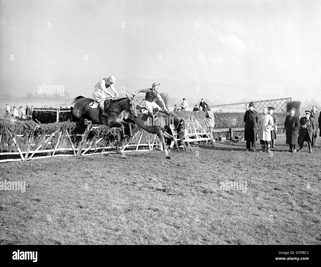 Les courses de chevaux - Le Champion Hurdle Challenge Cup - Cheltenham Banque D'Images