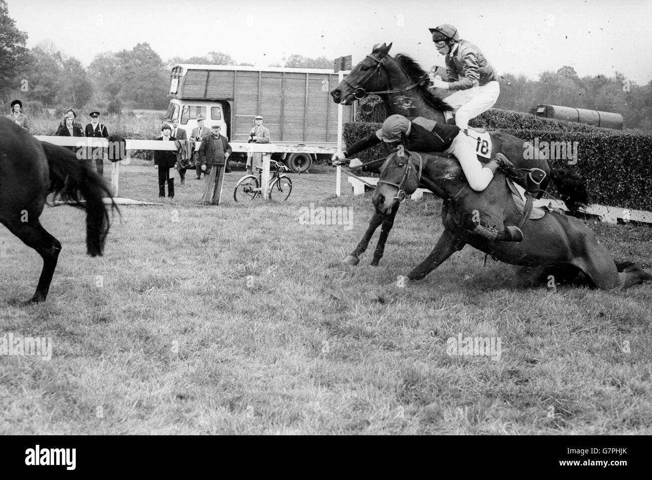 Les courses de chevaux - Wilderwick Novices' steeple - Juste de l'Arctique - Lingfield Park Banque D'Images