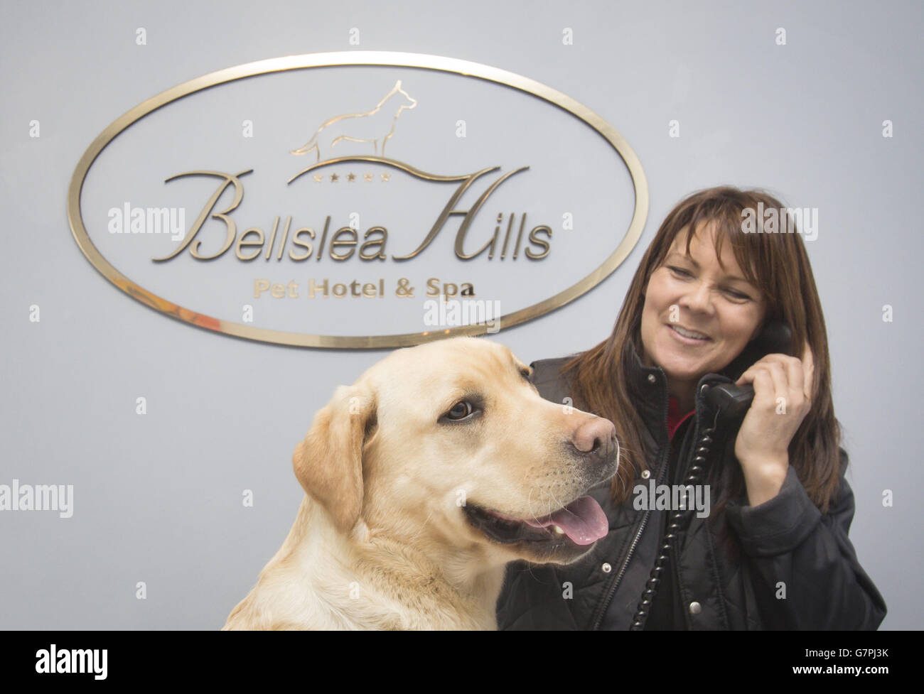 Bellslea Hills PET Hotel and Spa.Directeur Nanette Aitken et Lily the Labrador à la réception, au Bellslea Hills PET Hotel and Spa. Banque D'Images