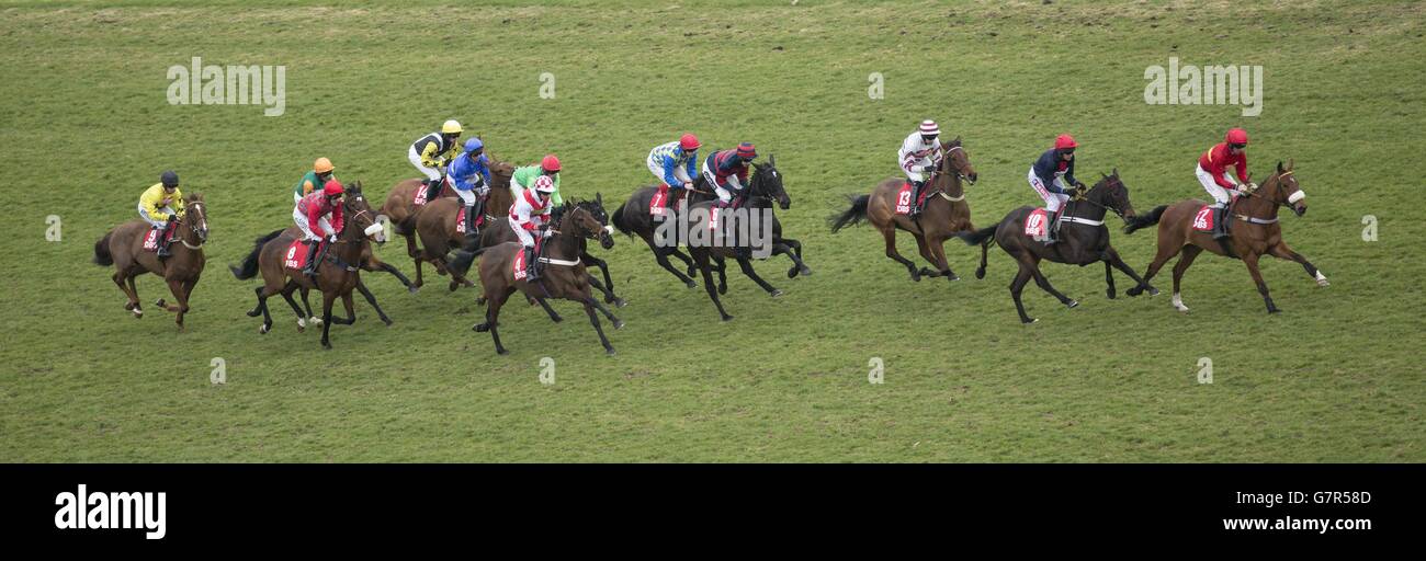 Les coureurs se dirigent vers le haut pour la première fois lors de la course DBS Spring Sales Bumper Race à la Spring Jumps Meeting à Newbury Racecourse. Banque D'Images