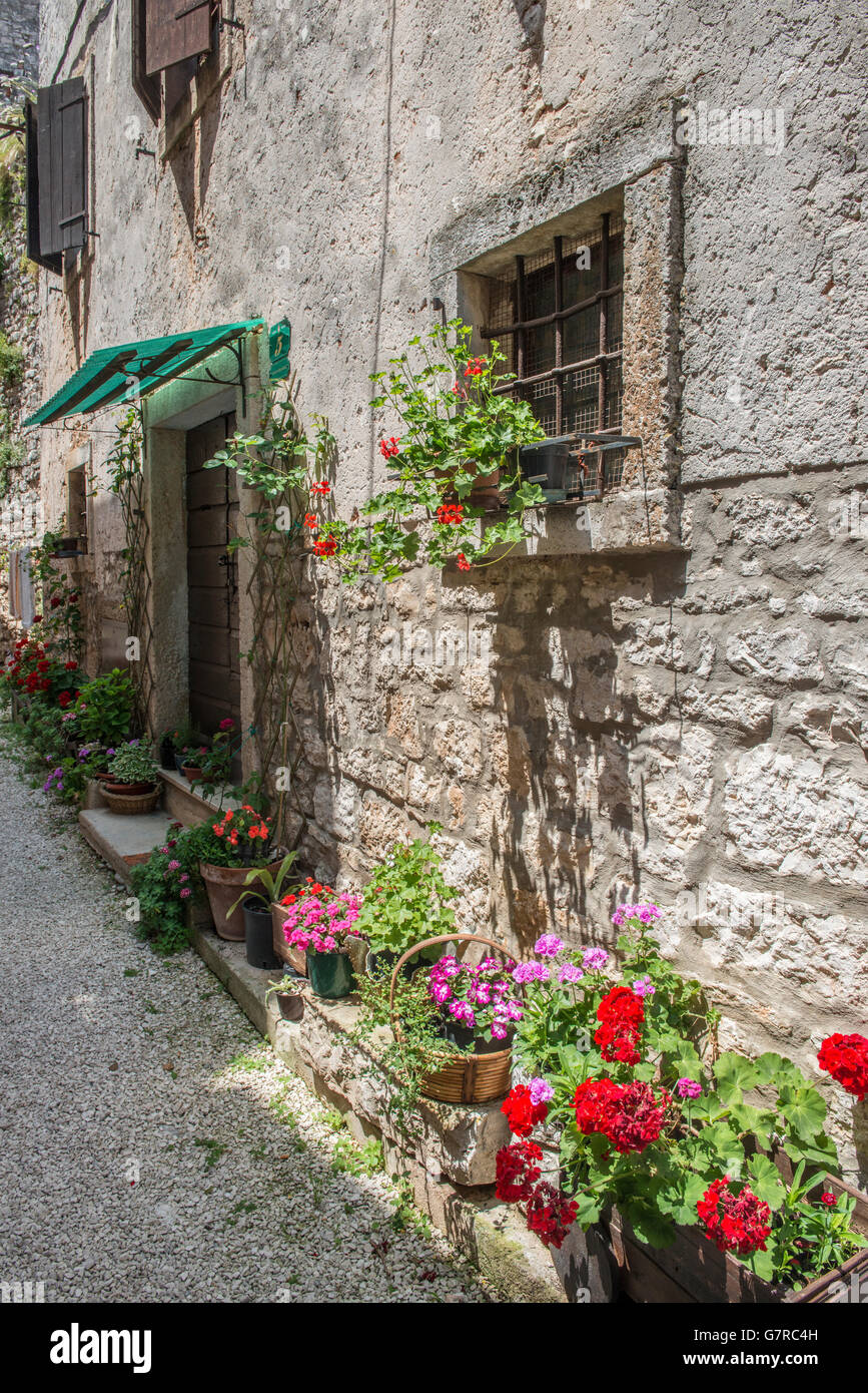 L'ancien village de fortin balle ou Valle dans le passé de l'Istrie Croatie montrant une maison en pierre avec des géraniums sur une journée ensoleillée Banque D'Images