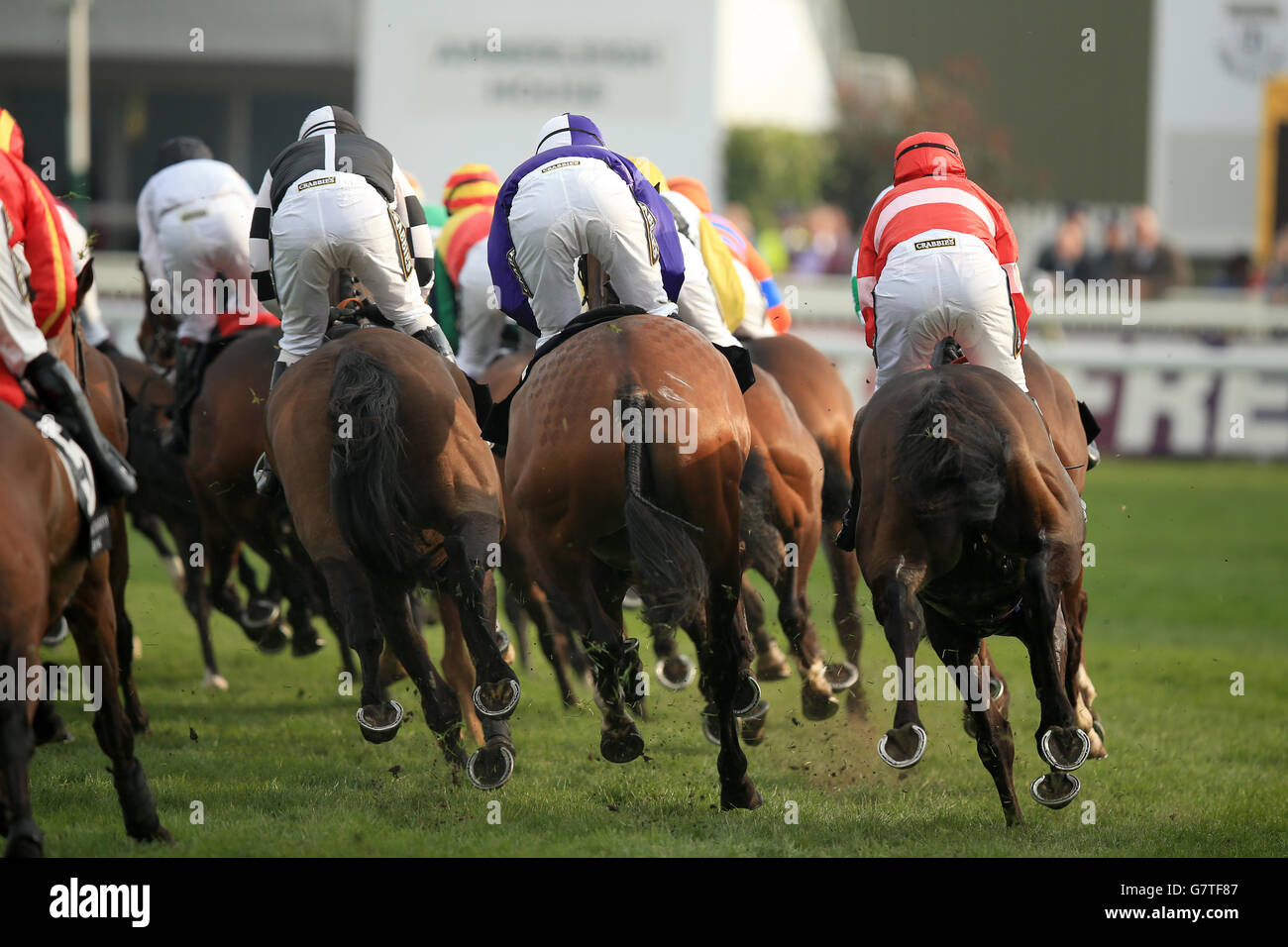 Une vue générale des coureurs et des coureurs lors de leur compétition Dans le Wealth Management Champion Standard Open NH Flat de Weatherbys Course Banque D'Images