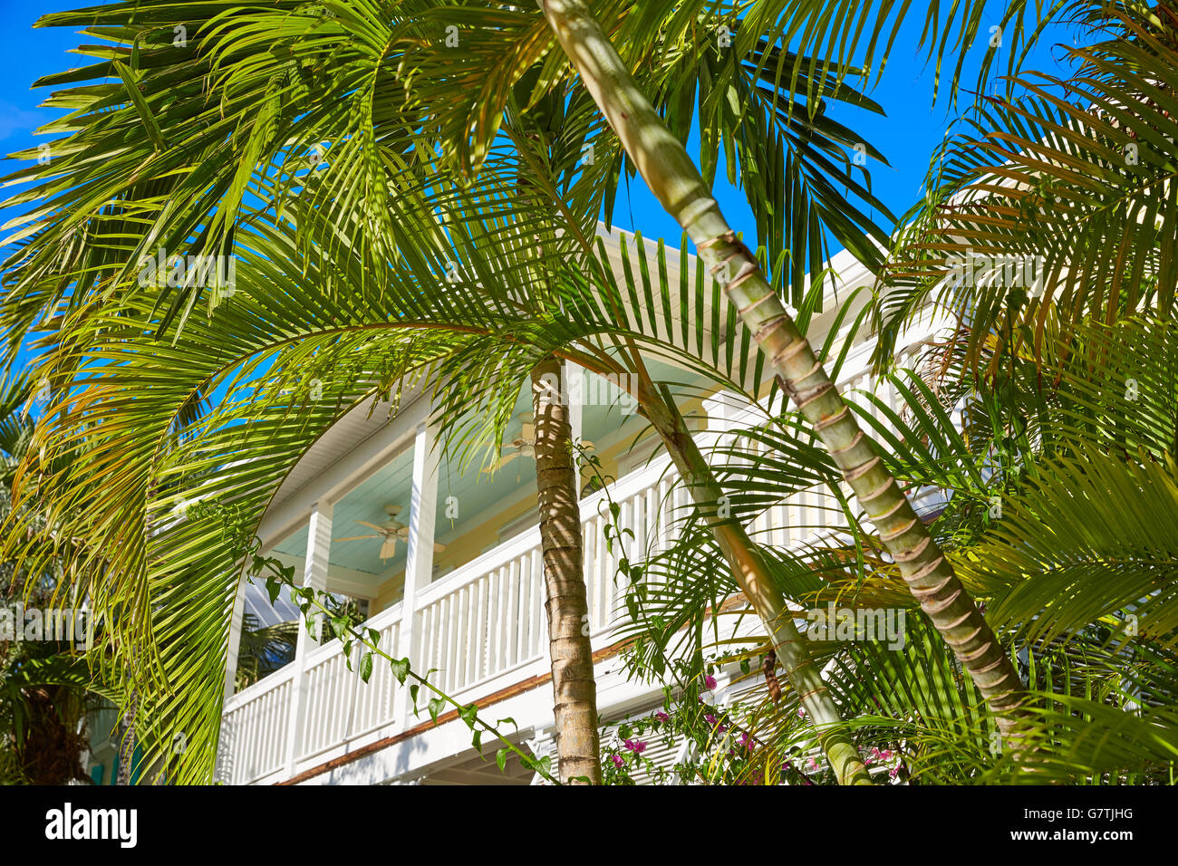 Rue du centre-ville de Key West en Floride USA façades de maisons Banque D'Images