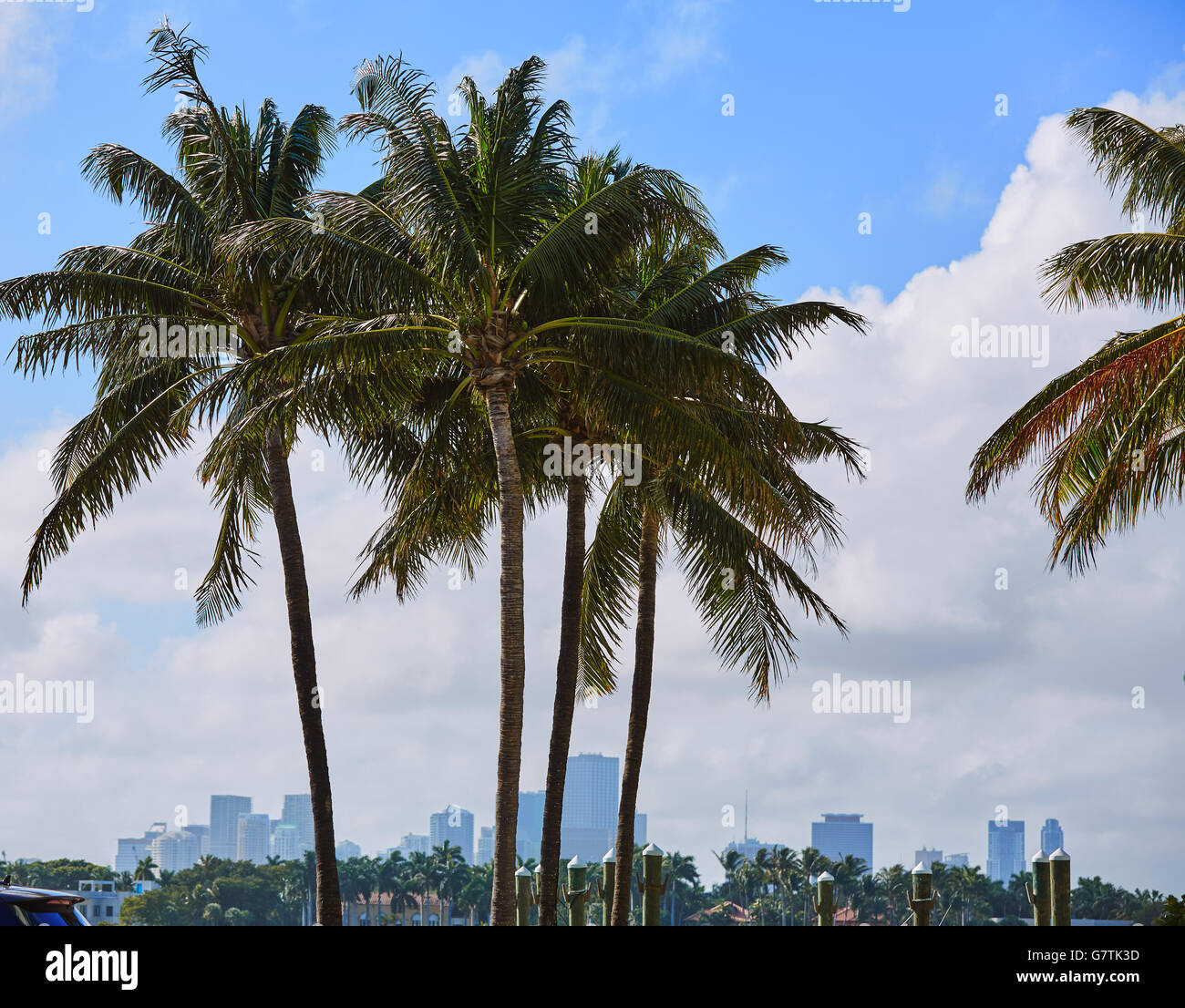Le centre-ville de Miami skyline brouillard brouillard de Miami Beach en Floride USA Banque D'Images