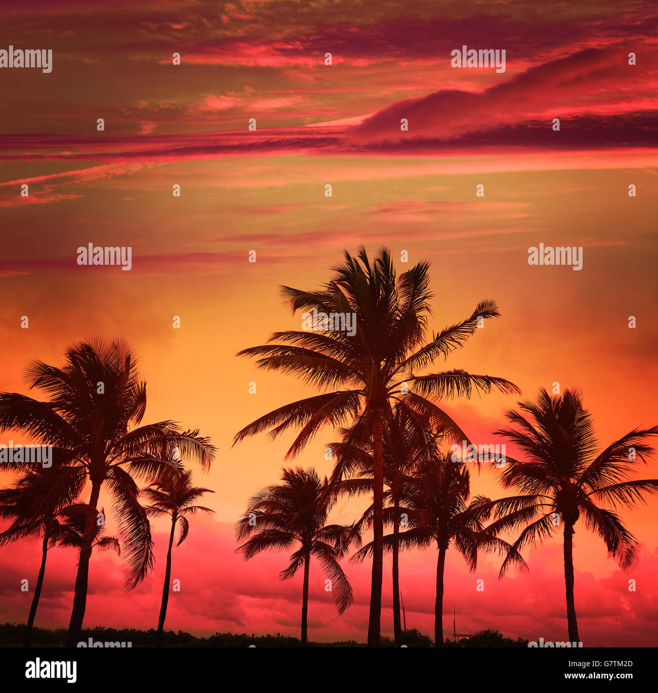 Miami Beach South Beach Sunset palmiers Ocean Drive en Floride Banque D'Images Miami Beach South Beach Sunset palmiers Ocean Drive en Floride Banque D'Images