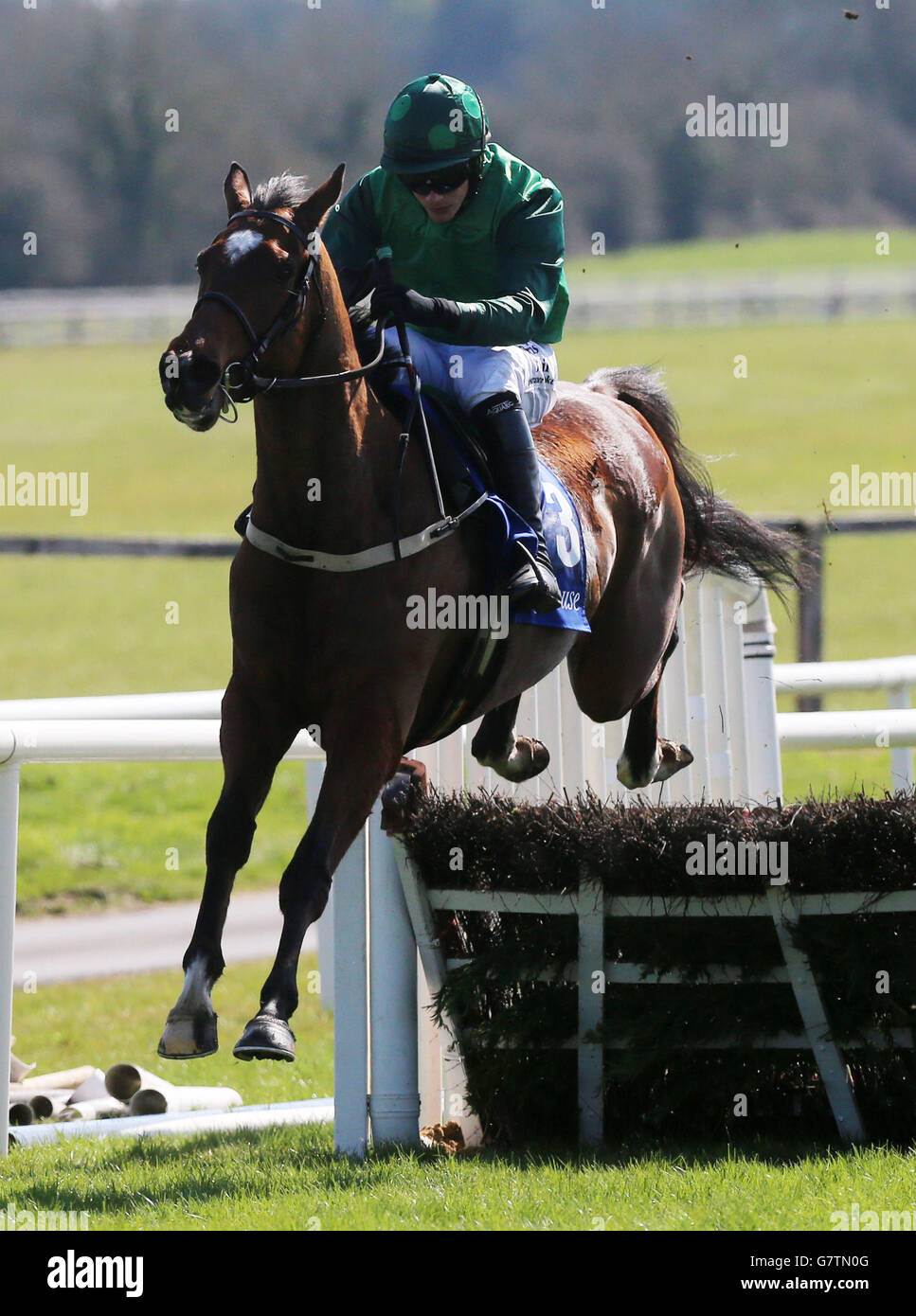 Horse Racing - Grand National irlandais BoyleSports Jour - Hippodrome Fairyhouse Banque D'Images