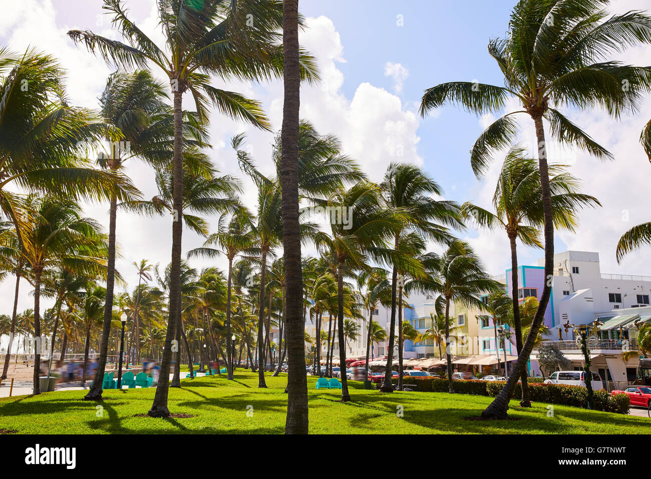 Miami Beach Ocean boulevard quartier Art déco en Floride USA Palmiers Banque D'Images