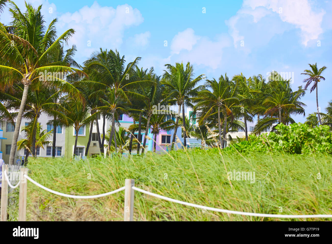 L'entrée de Miami Beach avec des palmiers en Floride USA Banque D'Images