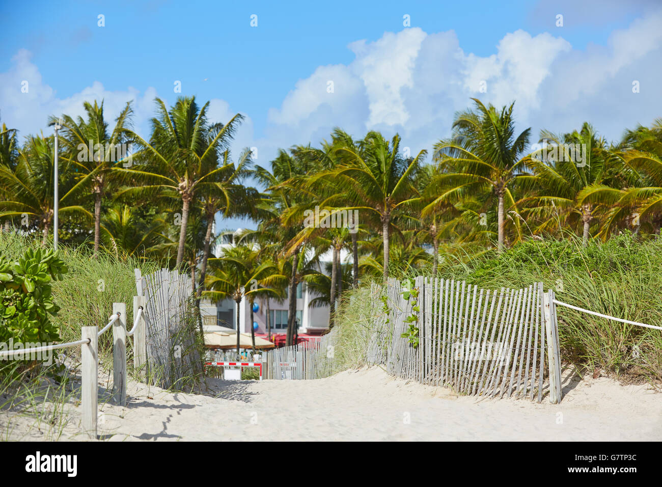 L'entrée de Miami Beach avec des palmiers en Floride USA Banque D'Images L'entrée de Miami Beach avec des palmiers en Floride USA Banque D'Images