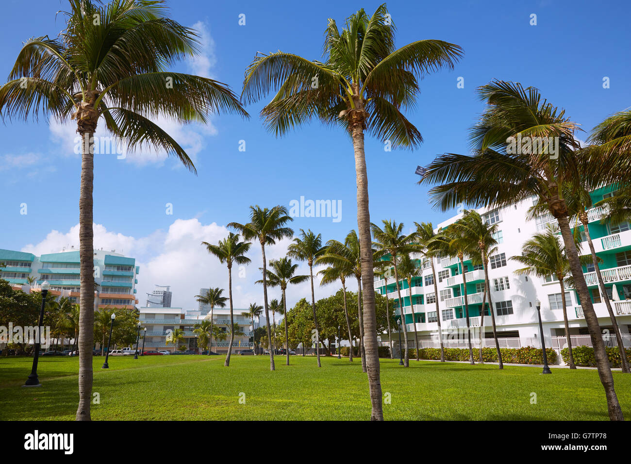 Miami South Beach park avec des palmiers en Floride USA Banque D'Images