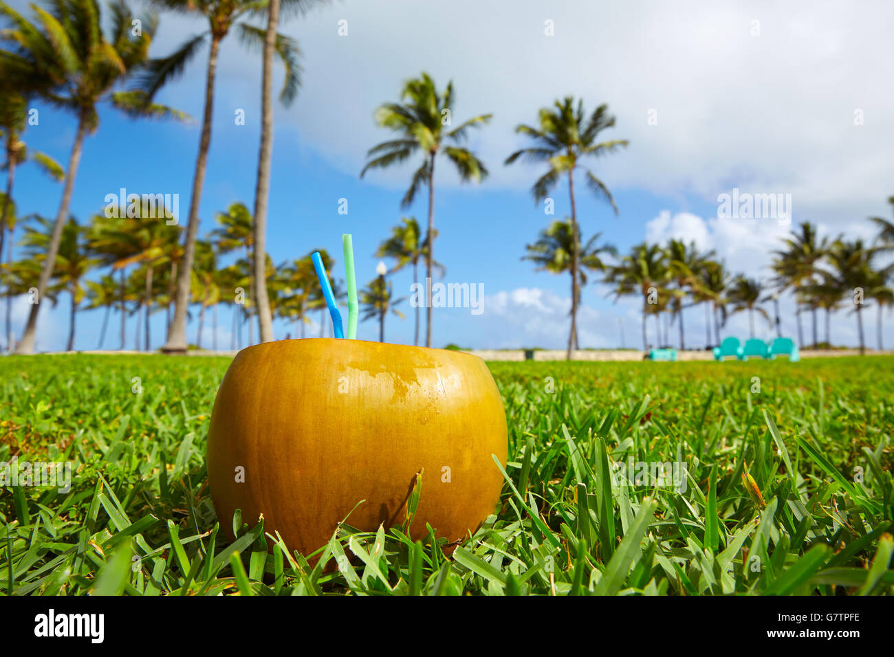 Miami South Beach coconut drink avec 2 pailles en Floride Banque D'Images Miami South Beach coconut drink avec 2 pailles en Floride Banque D'Images