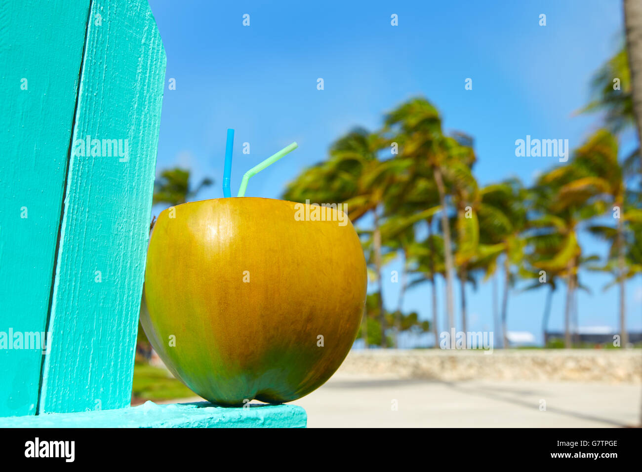Miami South Beach coconut drink avec 2 pailles en Floride Banque D'Images Miami South Beach coconut drink avec 2 pailles en Floride Banque D'Images