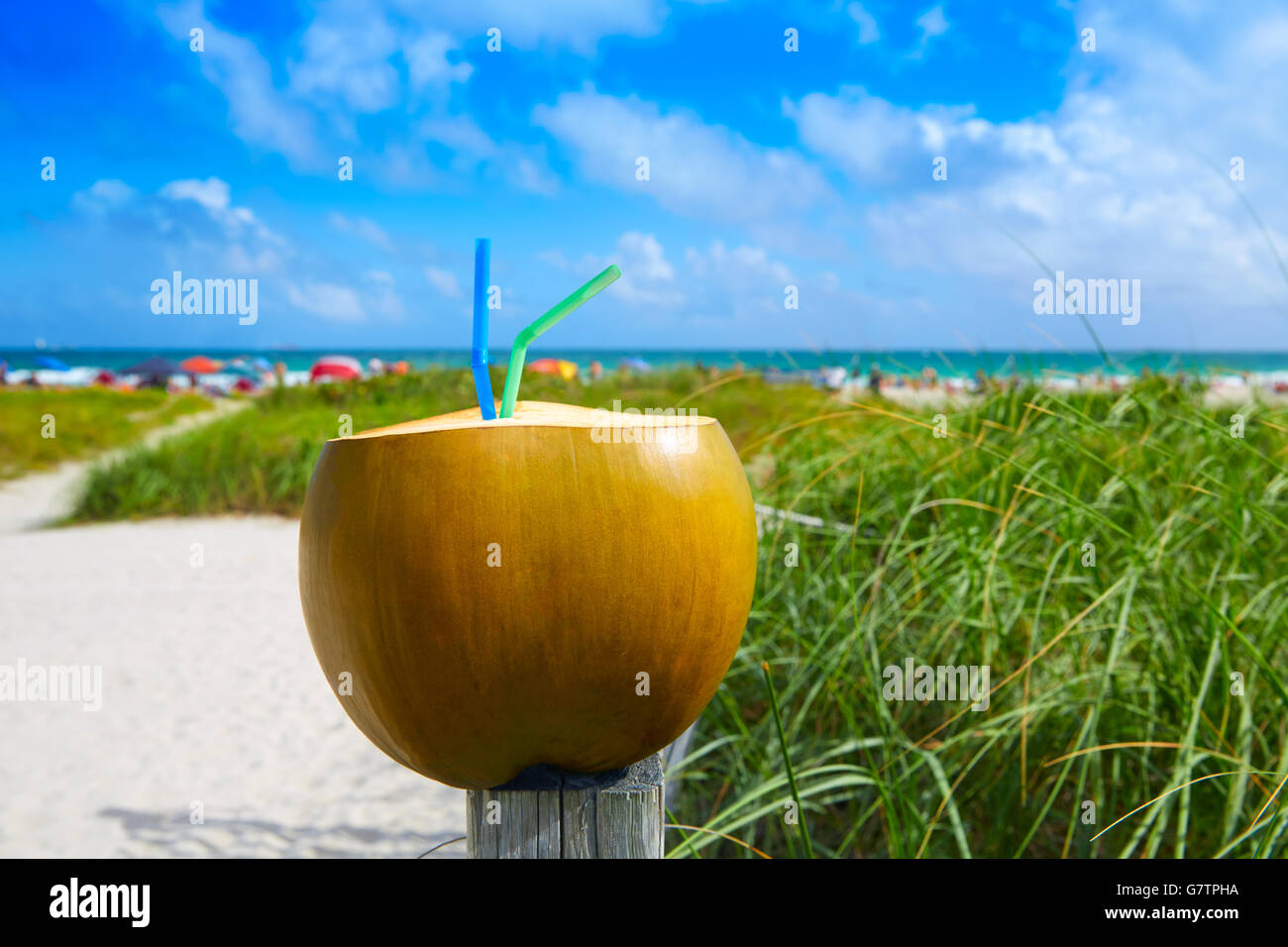 Miami South Beach coconut drink avec 2 pailles en Floride Banque D'Images Miami South Beach coconut drink avec 2 pailles en Floride Banque D'Images
