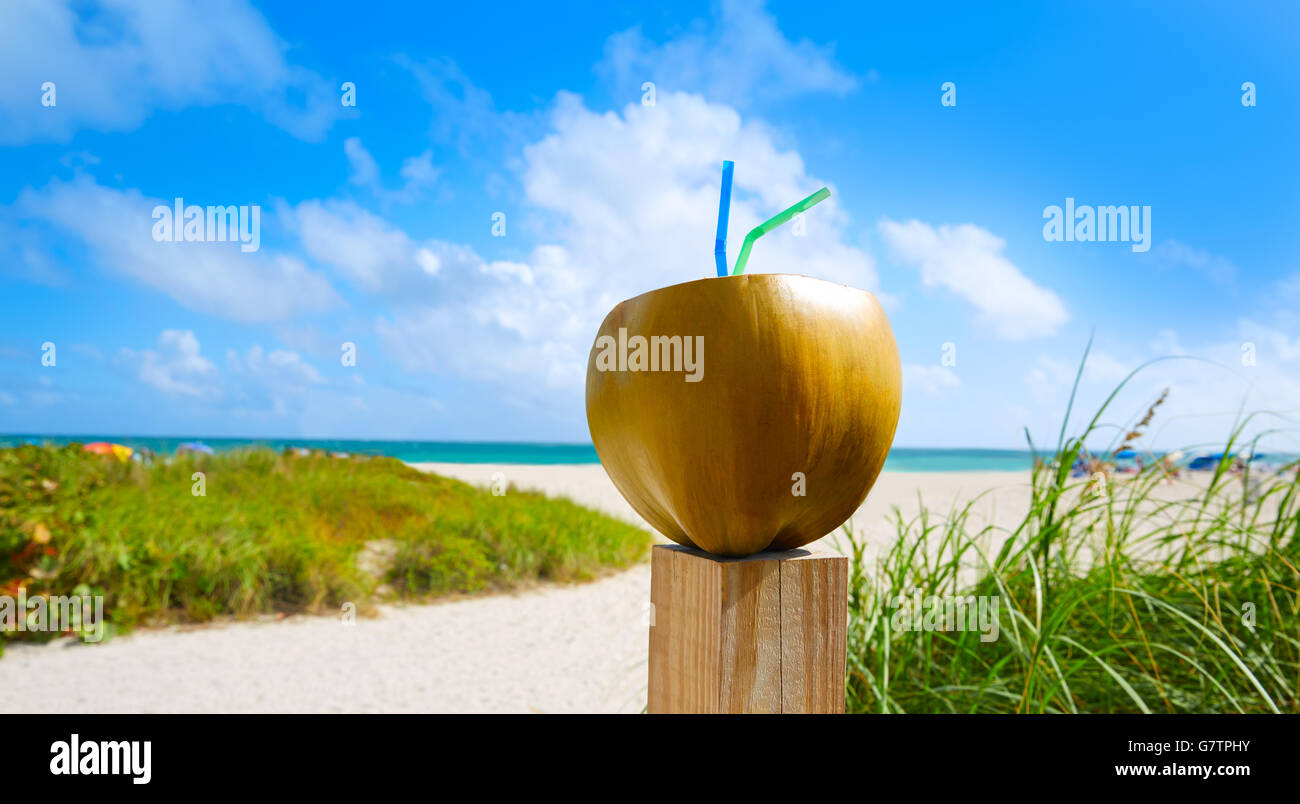 Miami South Beach coconut drink avec 2 pailles en Floride Banque D'Images Miami South Beach coconut drink avec 2 pailles en Floride Banque D'Images