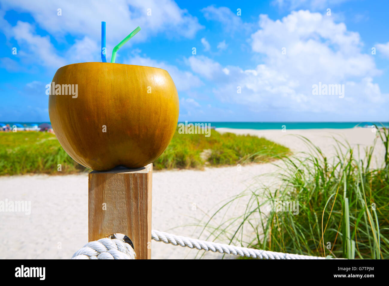 Miami South Beach coconut drink avec 2 pailles en Floride Banque D'Images Miami South Beach coconut drink avec 2 pailles en Floride Banque D'Images