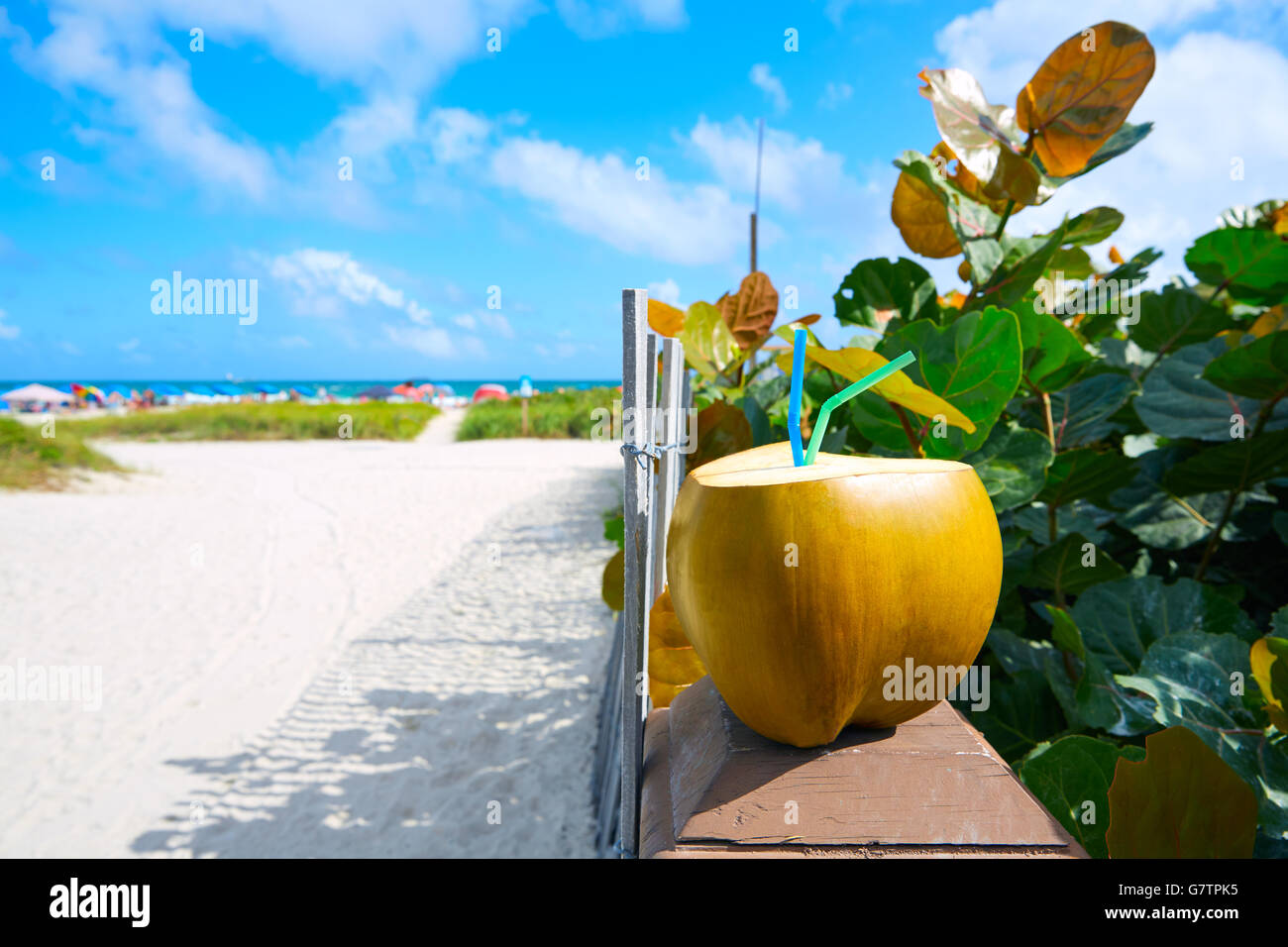 Miami South Beach coconut drink avec 2 pailles en Floride Banque D'Images Miami South Beach coconut drink avec 2 pailles en Floride Banque D'Images
