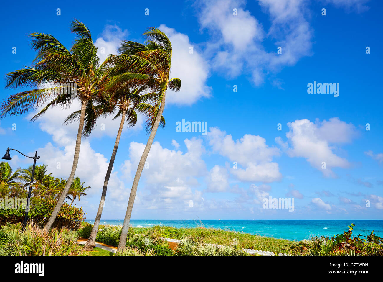 Plage de Palm Beach en Floride USA côte Banque D'Images Plage de Palm Beach en Floride USA côte Banque D'Images
