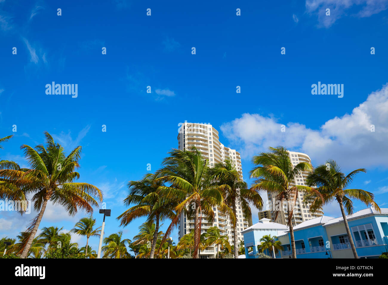 Singer Island Beach à Palm Beach en Floride palm trees in USA Banque D'Images
