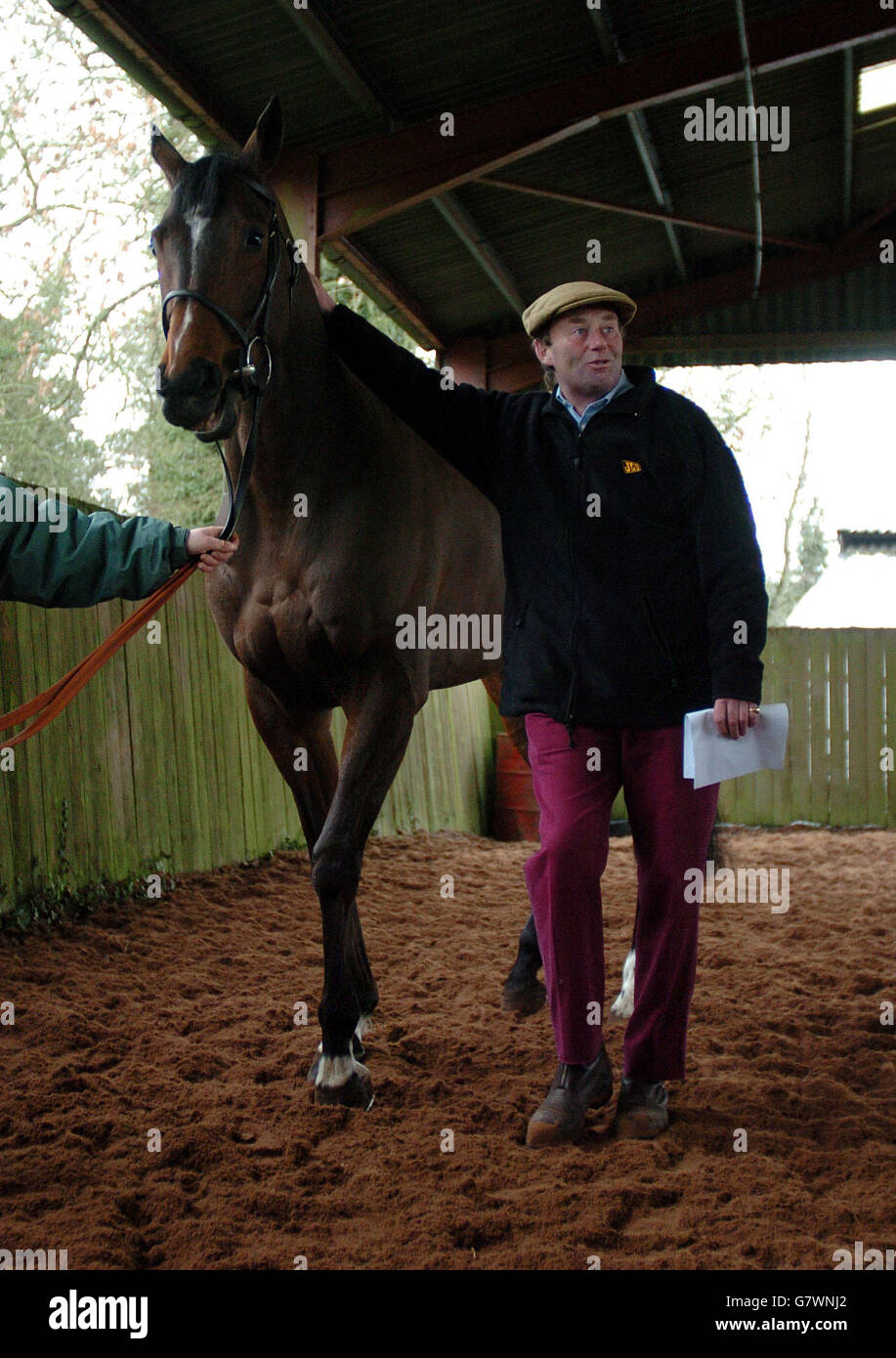 Les courses de chevaux - Nicky Henderson d'équitation Journée Portes Ouvertes - Sept Barrows Banque D'Images