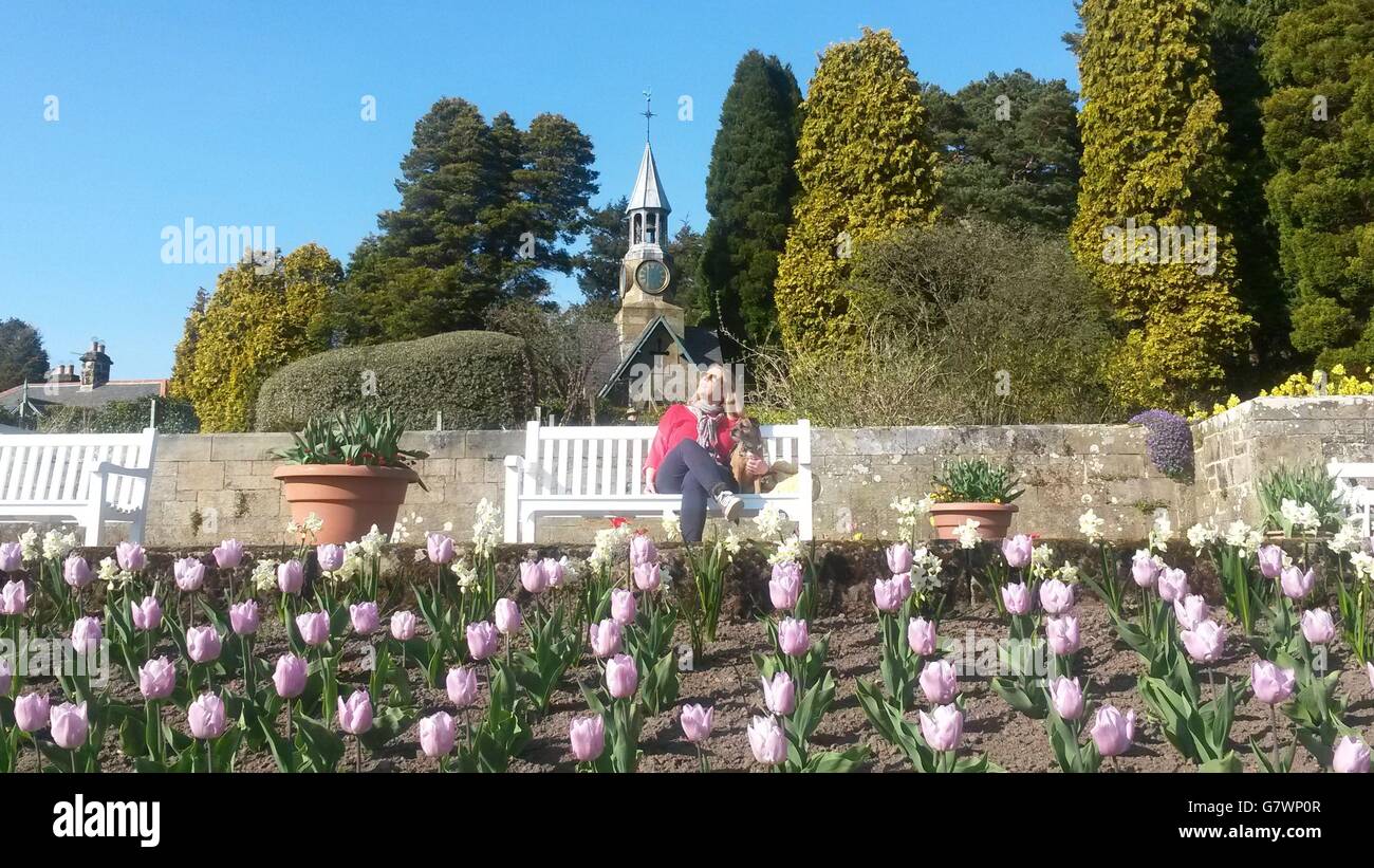 Une femme et son chien appréciant le temps chaud dans les jardins de Cragside House, Northumberland. Banque D'Images