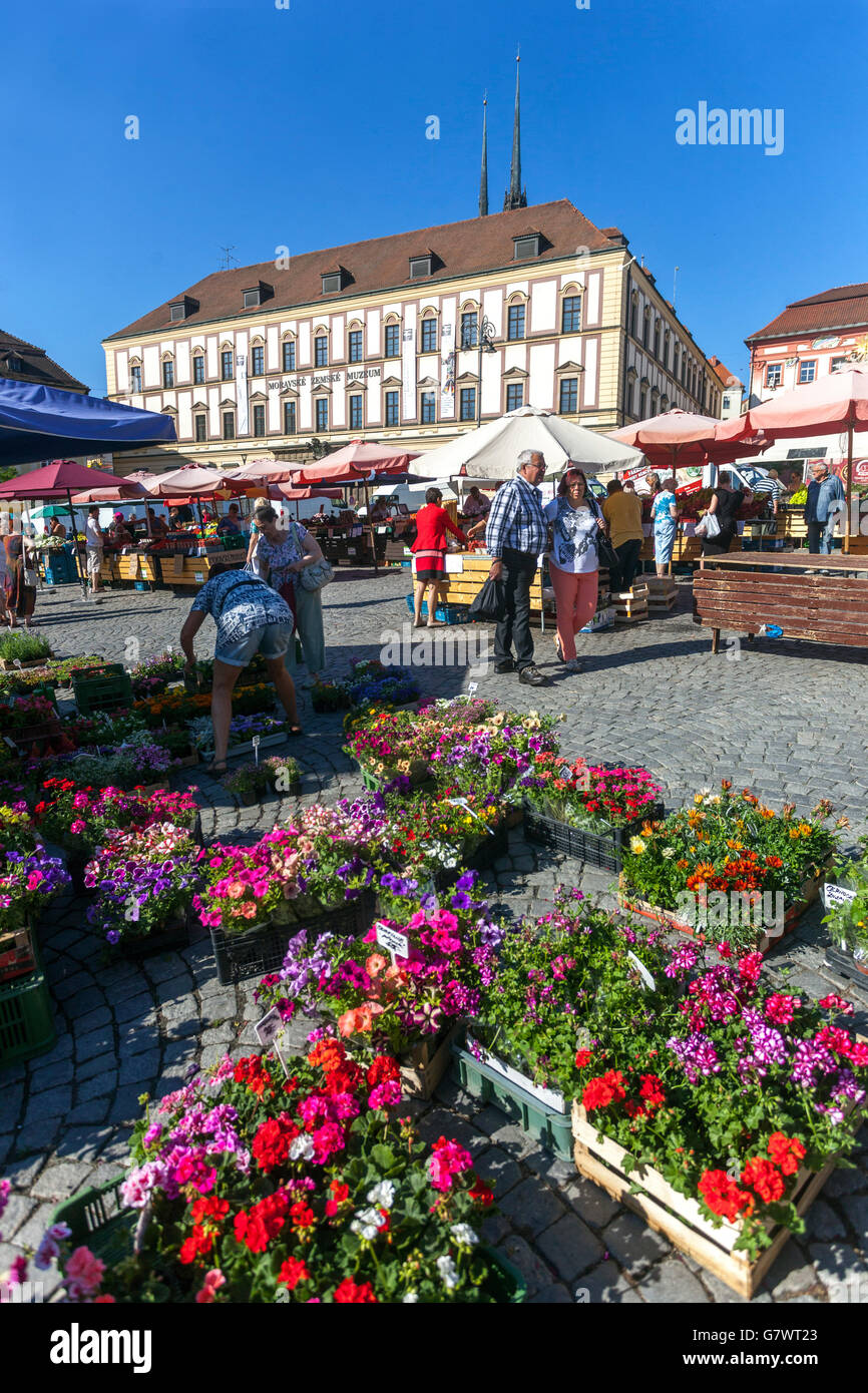 Marché aux choux Brno Zelny trh - la place est un marché traditionnel avec des fruits, des légumes et des fleurs. Place du marché aux choux Brno République tchèque Banque D'Images