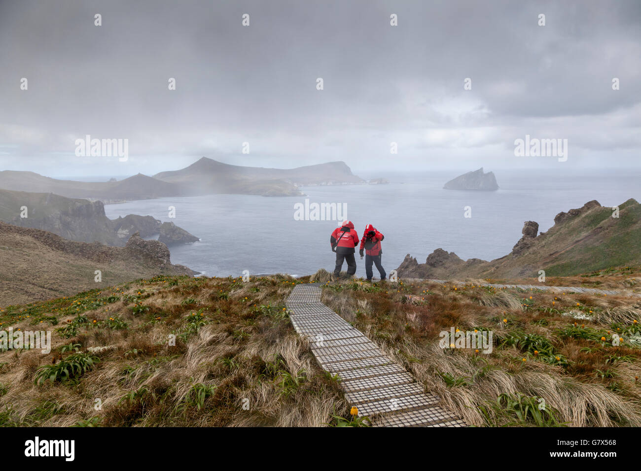 Les passagers des navires de l'expédition bravant les forts vents du nord-ouest, à la baie de l'île Campbell, sub-antarctiques de Nouvelle-Zélande Banque D'Images