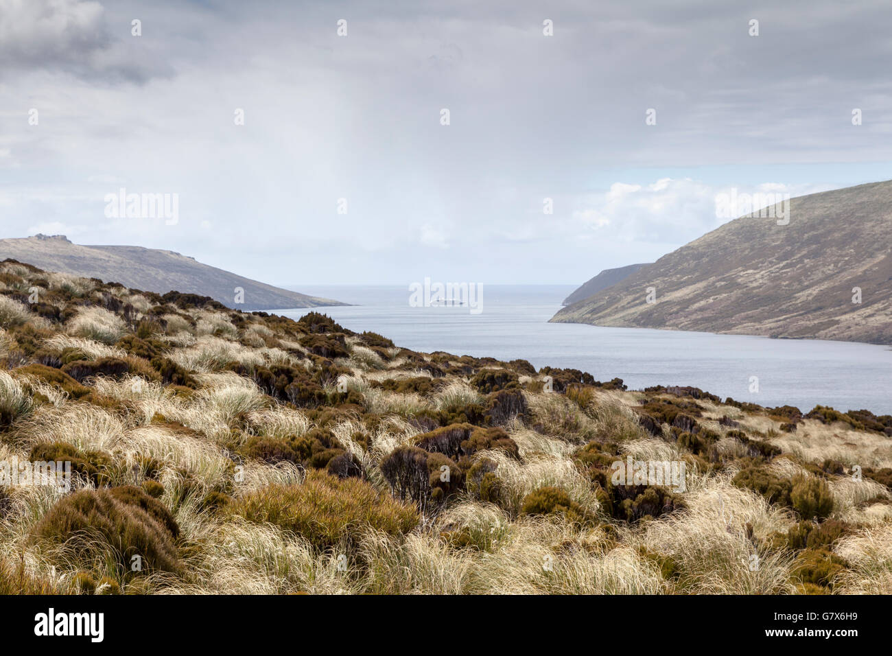 Persévérance, Port Campbell Island, Nouvelle-Zélande, sub-antarctiques du Ponant avec le navire d'expédition Soleal dans l'arrière-plan Banque D'Images