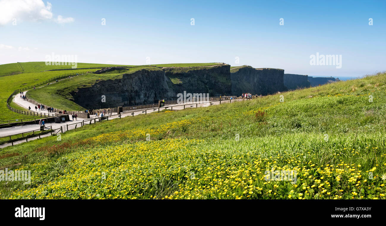 Les falaises de Moher, comté de Clare, Irlande Banque D'Images
