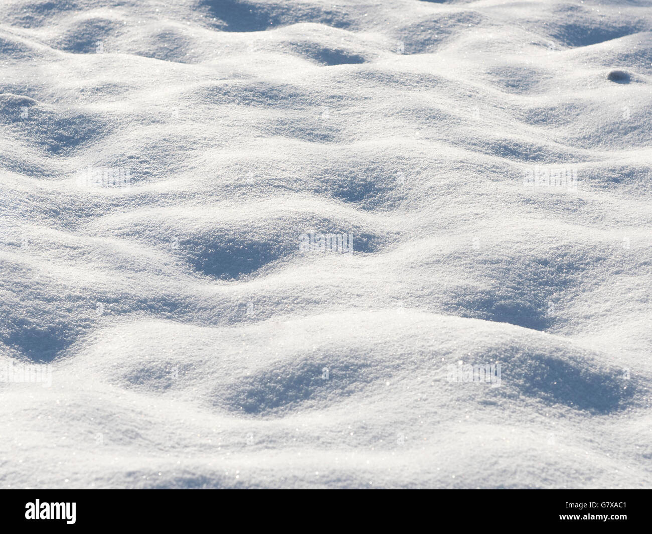 Arrière-plan de neige fraîche close up Banque D'Images