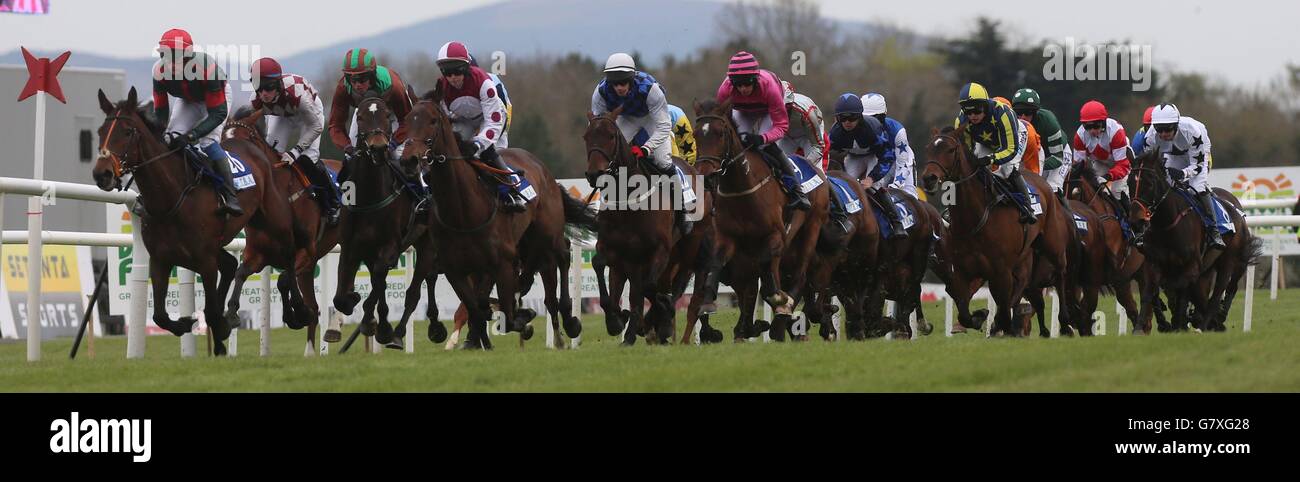 Coureurs et cavaliers de l'Irish Thoroughbred Breeders Association Fillies Scheme Fillies Premier Bumper pendant le Queily Group célébrant 35 ans à Naas Punchrtown Champion Hurdle Day au Punchrtown Racecourse, Co. Kildare, Irlande. Banque D'Images