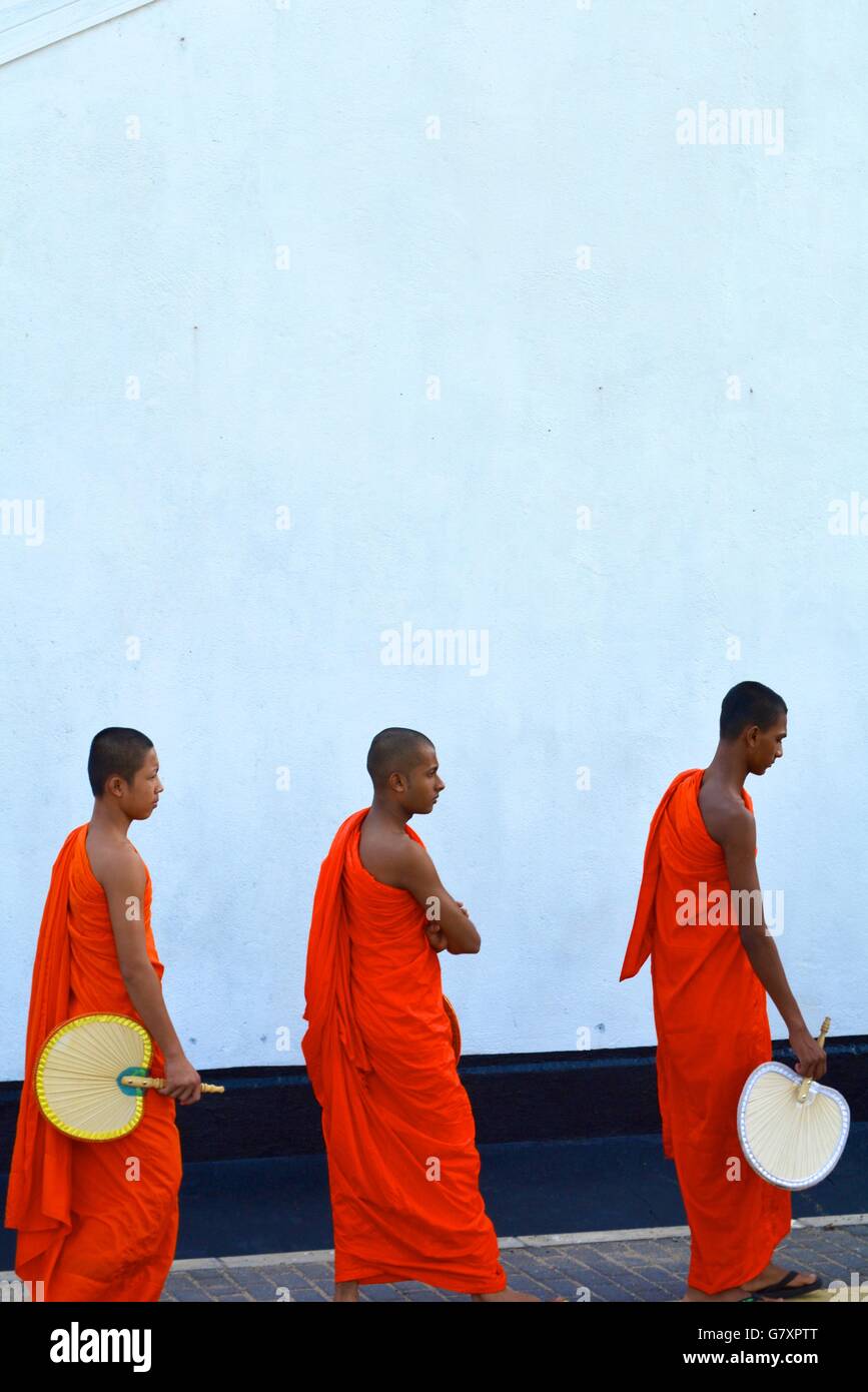 Les moines bouddhistes dans une procession religieuse dans la ville de Galle, Sri Lanka Banque D'Images