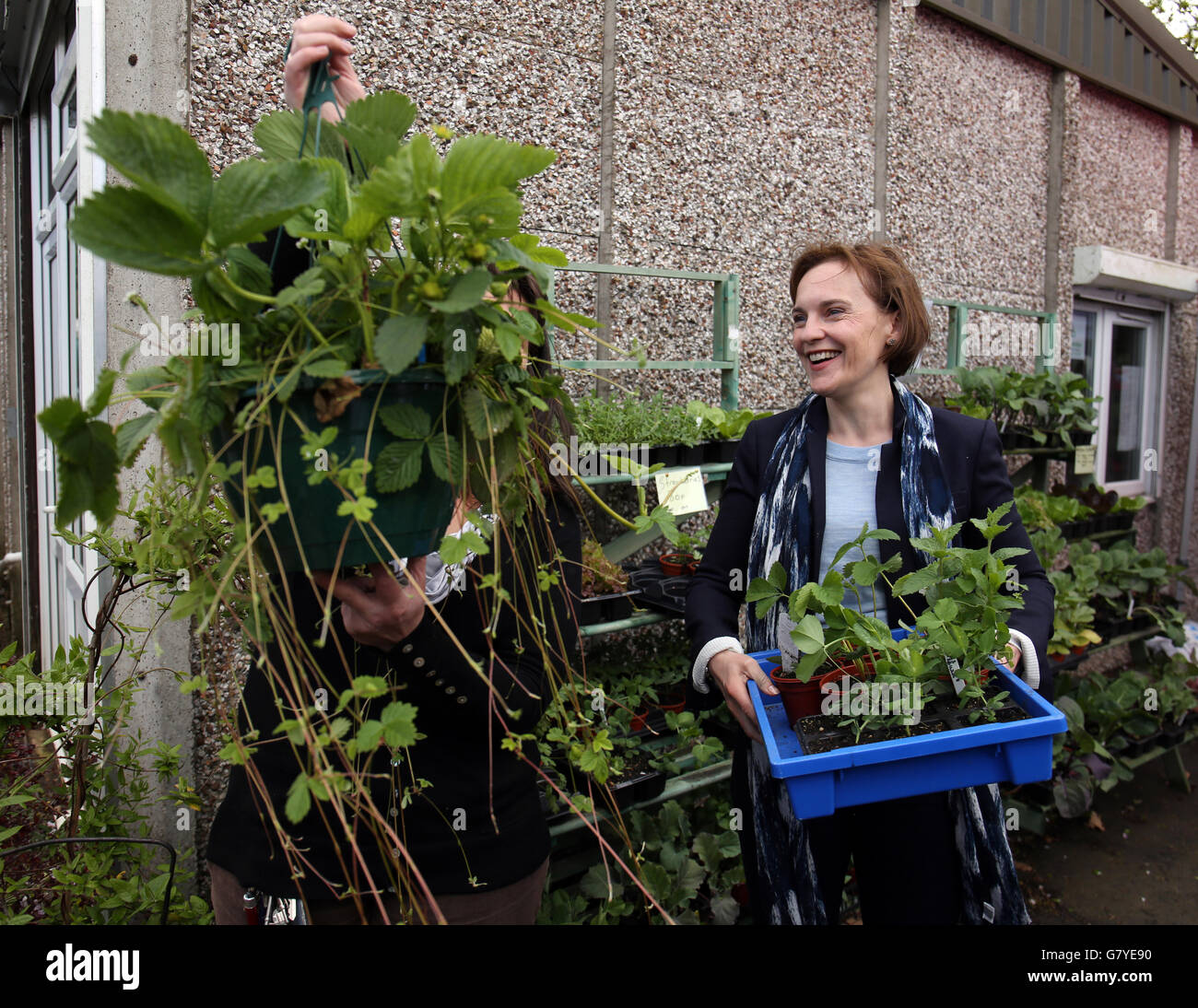 Justine Thornton, épouse du chef du Parti travailliste Ed Miliband, tient un plateau de plantes lors d'une visite au projet de jardin communautaire de Bedworth dans le Warwickshire, tout en suivant la campagne électorale générale. Banque D'Images
