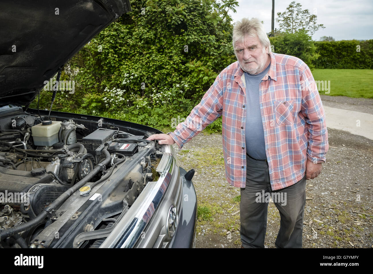 Dave Merchant, de Henley, Somerset, par son Toyota Amazon, où un Robin a  fait un nid dans le compartiment moteur, photographié à côté du radiateur  derrière la calandre argentée, et a maintenant