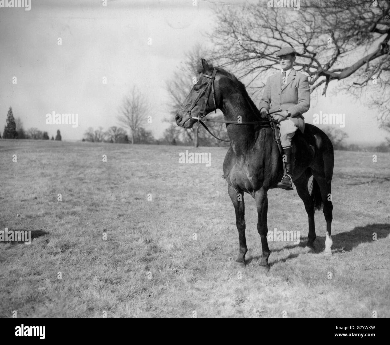 Sports équestres - Bertie Hill - Smith's Lawn, grand parc de Windsor Banque D'Images